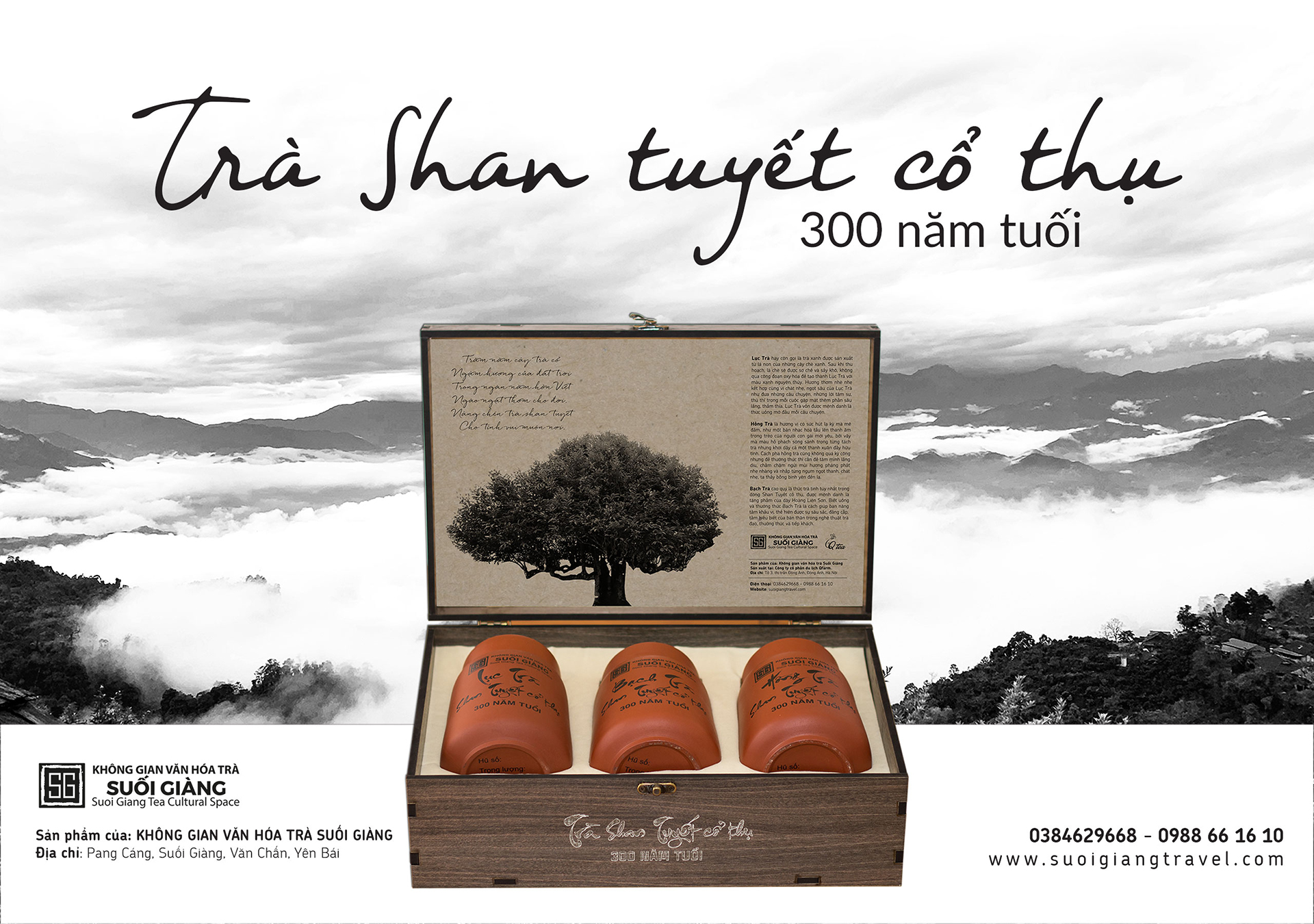 Set trà Shan Tuyết cổ thụ 300 năm tuổi hũ gốm