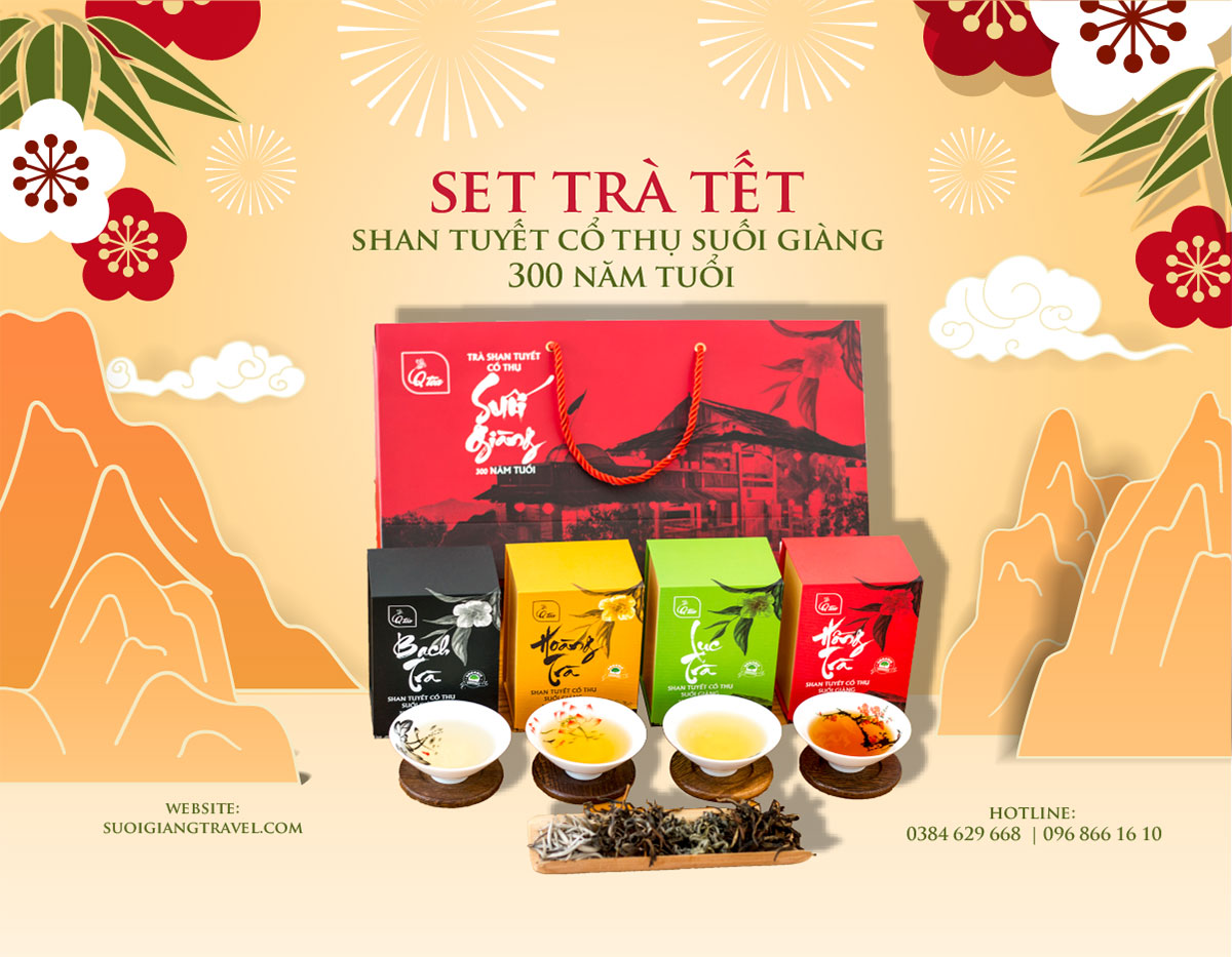 Set trà Tết Qtea - Shan Tuyết cổ thụ Suối Giàng 300 năm tuổi